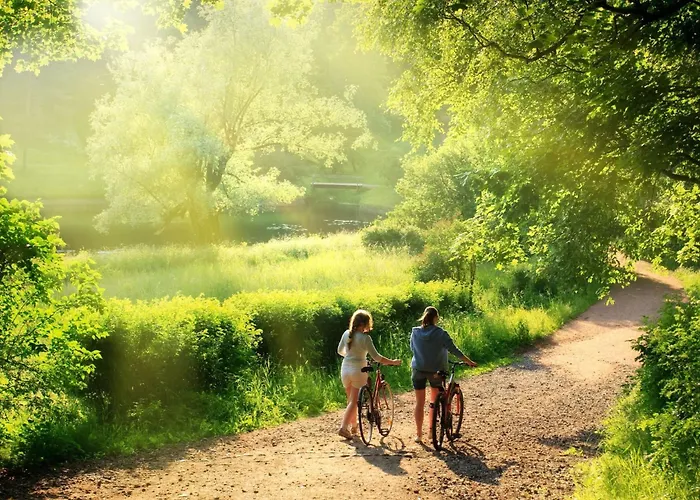 Appartement Luetje 516 By Interhome Sellin (Rugen)