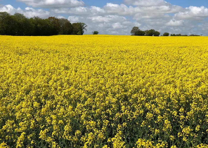 Appartement Luetje 516 By Interhome *