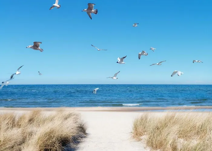 Luetje 516 By Interhome *